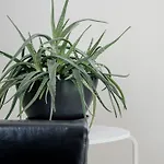 Apartman Lina